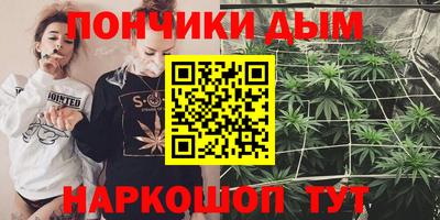 крисы Лесосибирск